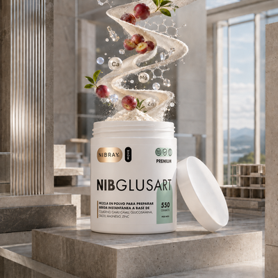 Nibglusart Premium